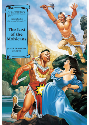 Illustrated Literature